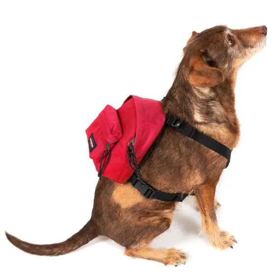 Eastpak Dog Pak'R Sailor Red Backpack