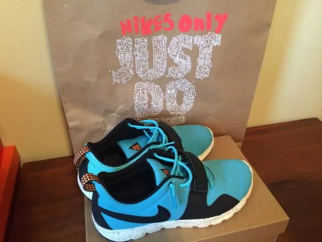 Nike Trainerendor Size 11